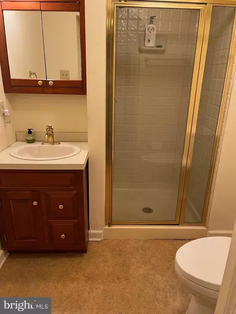807 Maple Glen Ln, Wayne, PA 19087 photo 29