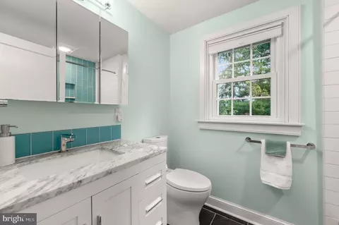 401 Vassar Ave, Swarthmore, PA 19081 photo 37