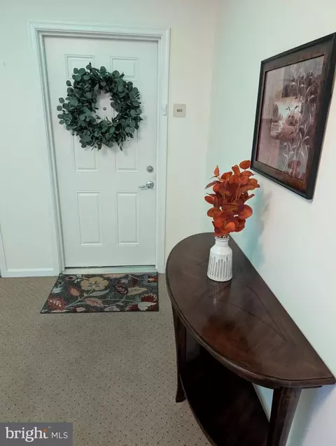 Entry Way - 523 Creekside Dr, Brookhaven, PA 19015 photo 1 of 4