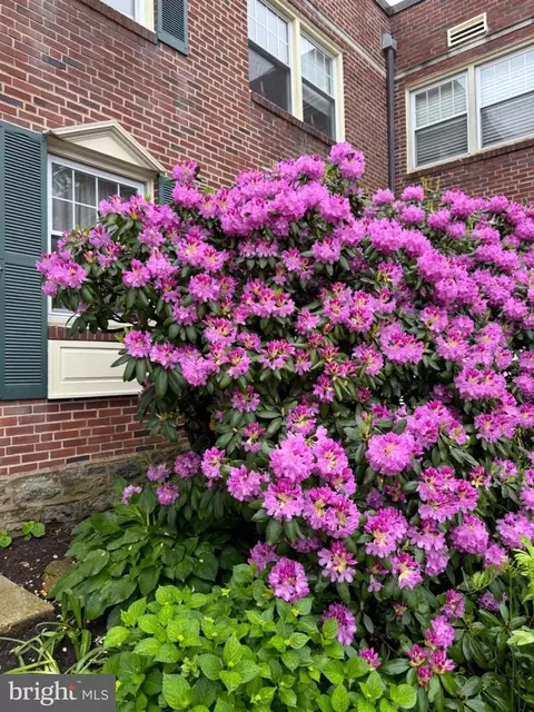 500 E Lancaster Ave #126-A, Wayne, PA 19087 photo 21