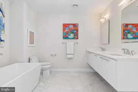 Bath - 427 E Lancaster Ave #1202, Wayne, PA 19087 photo 2 of 6