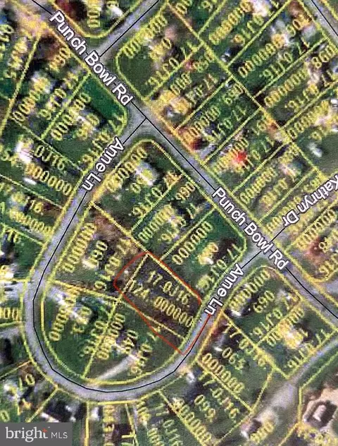 Anne Lane, Mercersburg, PA 17236