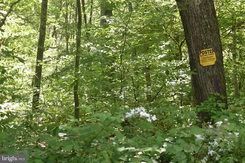 15 62 Acres Cool Hollow Rd, Needmore, PA 17238