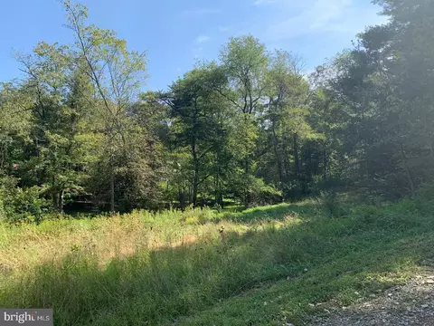 Sheepskin Hollow Rd, Mcconnellsburg, PA 17233