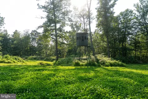 Great Cove Rd, Burnt Cabins, PA 17215
