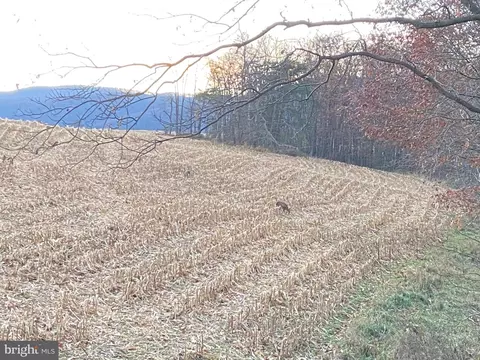 0 Llama Ln, Needmore, PA 17238