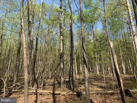 Black Bear Road, Needmore, PA 17238