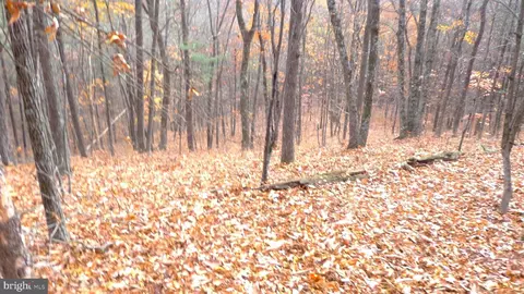 Lot 5 Black Hollow Rd., Three Springs, PA 17264
