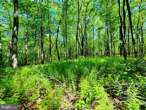 lot36 Paradise Pt, James Creek, PA 16657