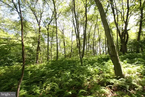 000 Leidig, Three Springs, PA 17264