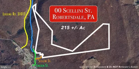 00 Scellini St, Robertsdale, PA 16674