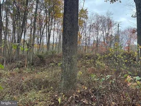 Tract 4: 13.5+/- Acres Coles Valley Rd, Robertsdale, PA 16674