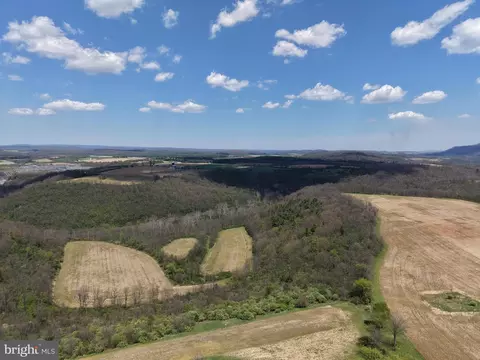 Tract 4: 39.99+/- Acres Union Furnace Rd, Tyrone, PA 16686