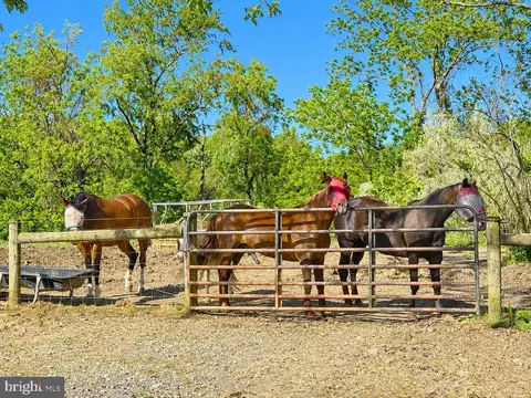 Other - 11698 Chaney Spring Rd, Huntingdon, PA 16652 photo 17 of 37