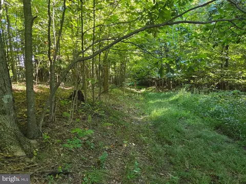 00 Black Walnut Rd, Commodore, PA 15729 photo 7