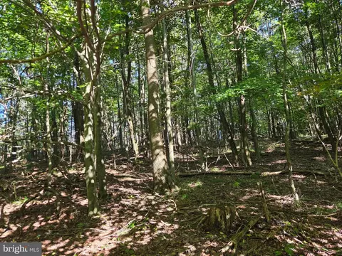 00 Black Walnut Rd, Commodore, PA 15729 photo 11