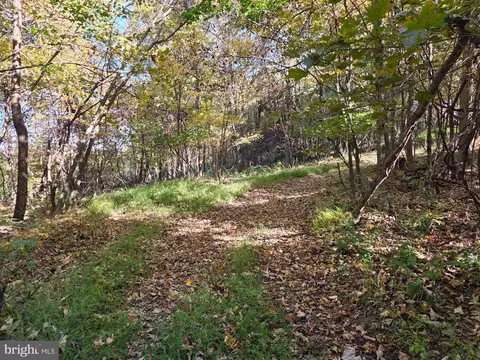 00 Black Walnut Rd, Commodore, PA 15729 photo 3