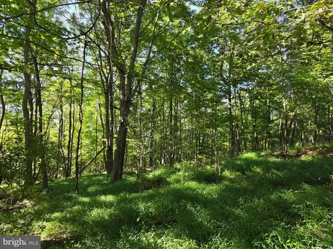 00 Black Walnut Rd, Commodore, PA 15729 photo 9