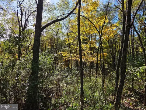 00 Black Walnut Rd, Commodore, PA 15729 photo 17