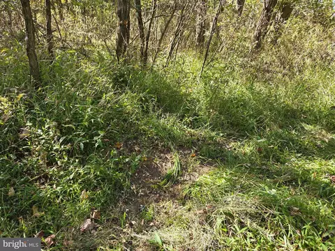 00 Black Walnut Rd, Commodore, PA 15729 photo 19