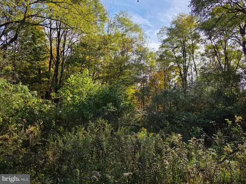 00 Black Walnut Rd, Commodore, PA 15729 photo 24