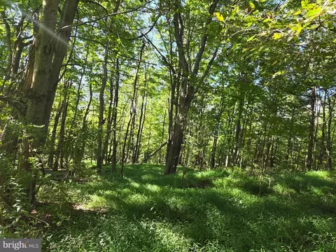 00 Black Walnut Rd, Commodore, PA 15729 photo 10