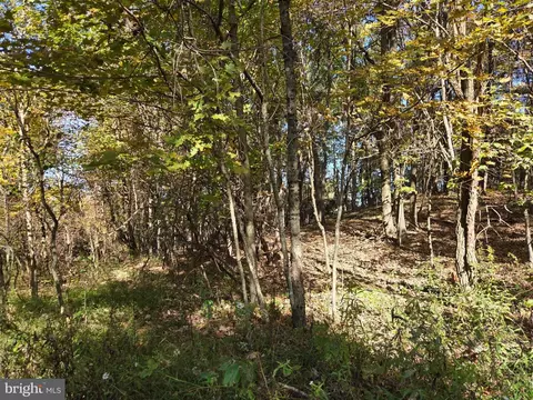 00 Black Walnut Rd, Commodore, PA 15729 photo 18