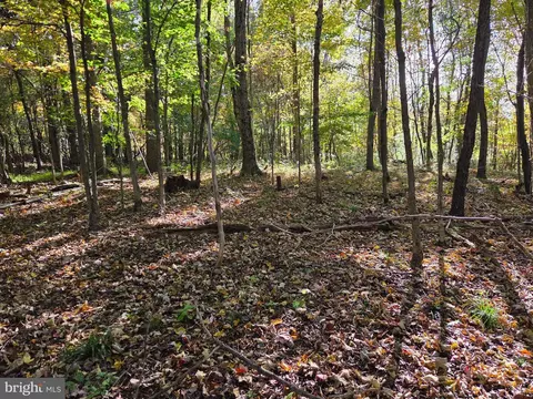 00 Black Walnut Rd, Commodore, PA 15729 photo 6