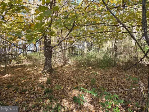 00 Black Walnut Rd, Commodore, PA 15729 photo 4