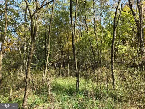 00 Black Walnut Rd, Commodore, PA 15729 photo 16