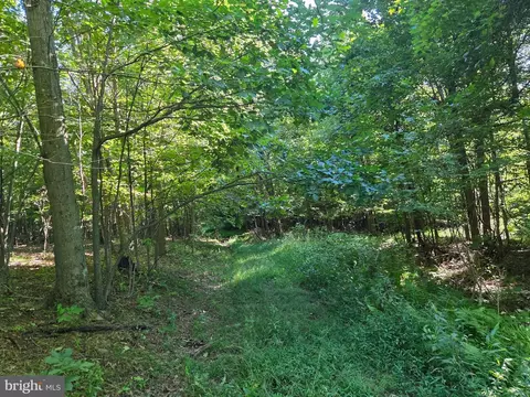 00 Black Walnut Rd, Commodore, PA 15729 photo 12