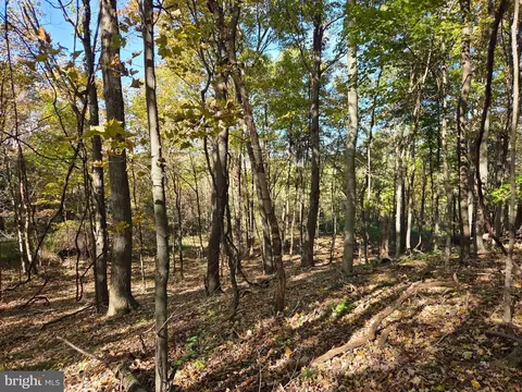 00 Black Walnut Rd, Commodore, PA 15729 photo 5