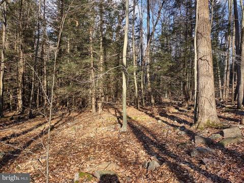 Lot 2 Black Log Valley Estates, Orbisonia, PA 17243