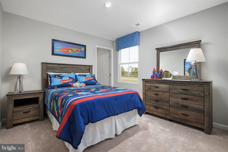  122 Appaloosa Dr, Marietta, PA 17547 photo 11