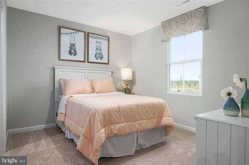  122 Appaloosa Dr, Marietta, PA 17547 photo 10