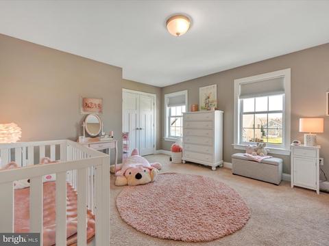 636 Frome Ave, Lititz, PA 17543 photo 34