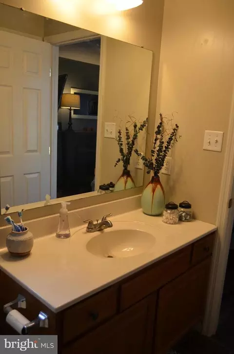 304 Cambridge Ln, Lititz, PA 17543 photo 23