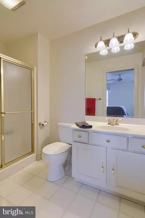 Bath - 333 E Woods Dr, Lititz, PA 17543 photo 9 of 11