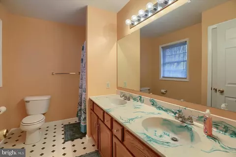 Bath - 376 Crosswinds Dr, Lititz, PA 17543 photo 4 of 4