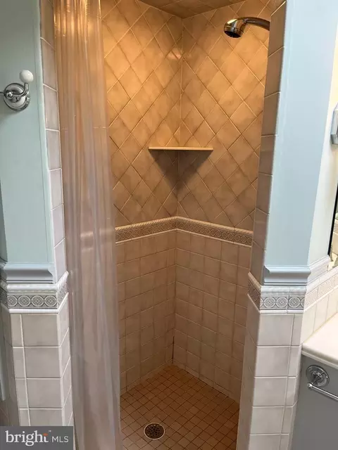 Bath - 102 W End Ave, Lititz, PA 17543 photo 6 of 8