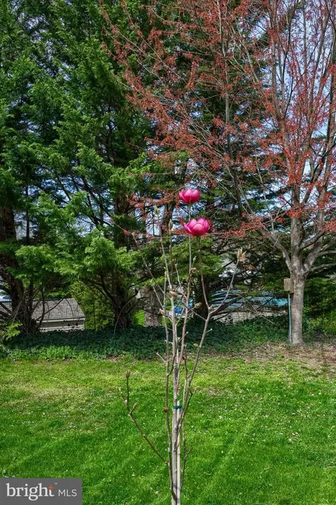 View/Area - 805 S Cedar St, Lititz, PA 17543 photo 1 of 1