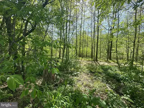 Other - 224 Noble St, Lititz, PA 17543 photo 19 of 31