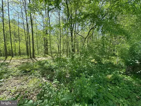 Other - 224 Noble St, Lititz, PA 17543 photo 20 of 31
