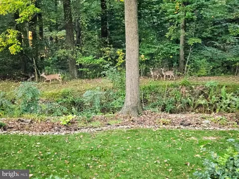 9 Sassafras Cir, Lititz, PA 17543 photo 40