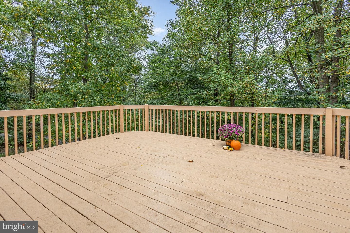 317 W Brubaker Valley Rd, Lititz, PA 17543 photo 23