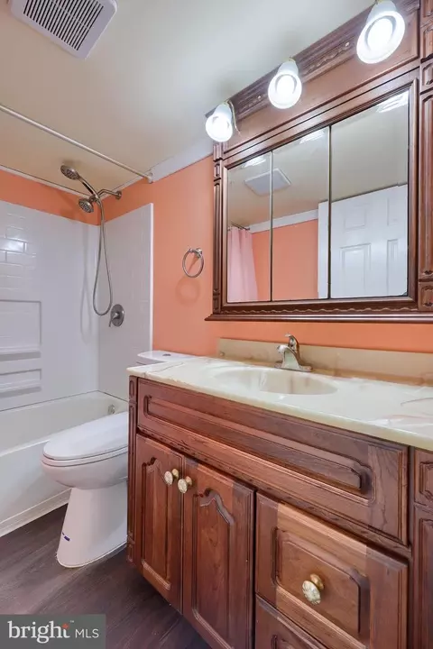 Bath - 401 Crosswinds Dr, Lititz, PA 17543 photo 3 of 4
