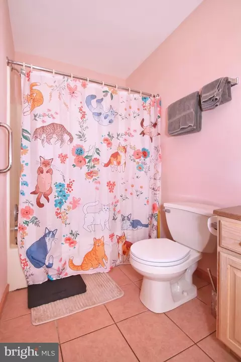339 Cambridge Ln, Lititz, PA 17543 photo 32