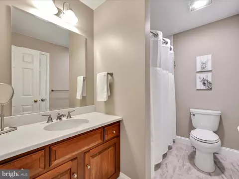 1 Cardiff Ct, Lititz, PA 17543 photo 26