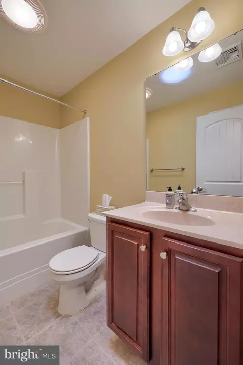 Bath - 120 Baneberry Ln, Lititz, PA 17543 photo 4 of 5
