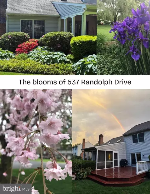 Other - 537 Randolph Dr, Lititz, PA 17543 photo 23 of 23